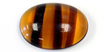 Tortoise Shell